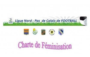 La féminisation 