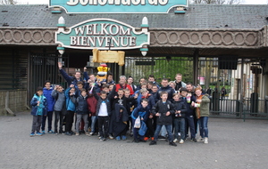 BELLEWAERDE 2016