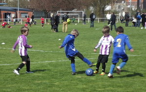 51764e916931d_Photo150.jpg