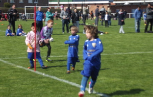 51764e986ac0c_Photo152.jpg