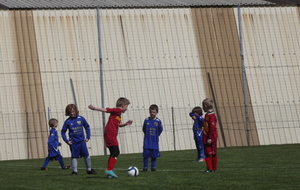 51764ea6b165f_Photo166.jpg