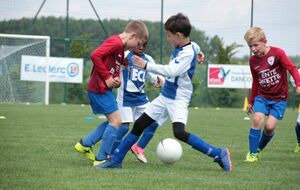 5ef4d4afb82da_IMG8461.JPG