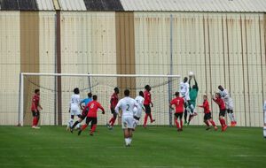 5f8b24eb77224_IMG1331resultat.jpg