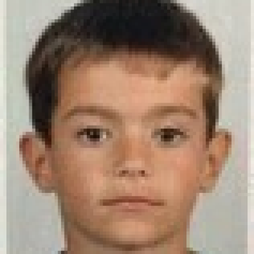 Raphael Carlier