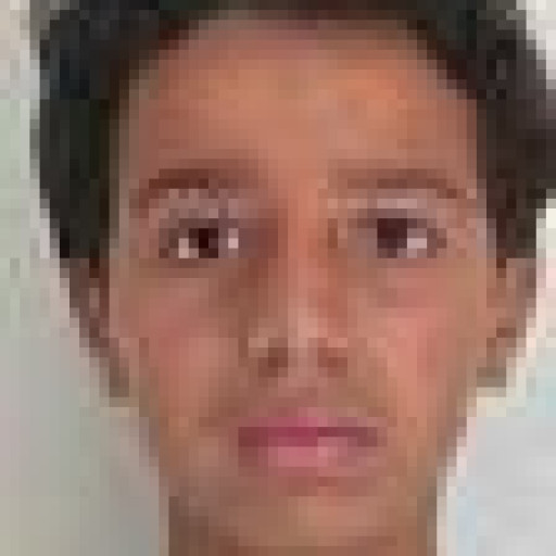 Youcef Bekkaddour