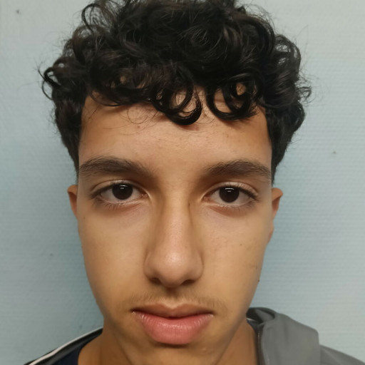 Mohammed Naji Naji