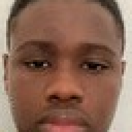 Mamadou Saliou Diallo