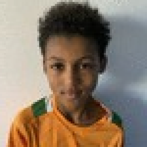 Adil Diarrassouba
